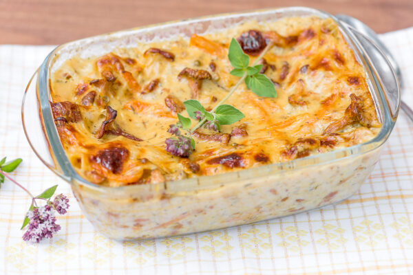 kantarellilasagne